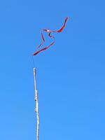 wind